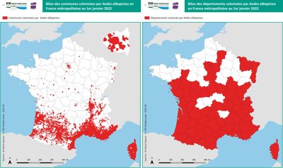 Bilan des communes (à gauche) et des départements (à droite) colonisées par Aedes albopictus en France métropolitaine au 1er janvier 2022